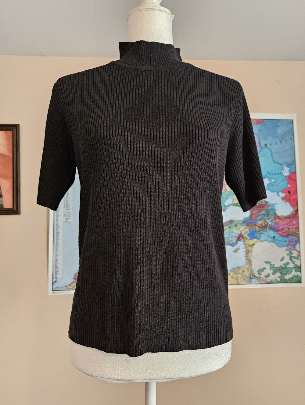 Black Short Sleeve Knit Turtleneck Top